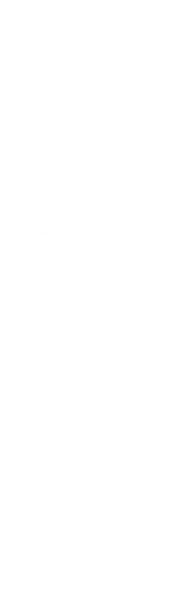 奄美大島